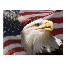 Patriotic Eagle Postcard