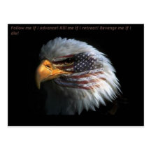 Patriotic Eagle with flag background Postcards