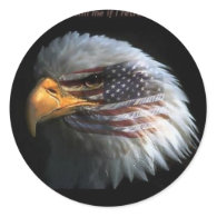 Patriotic Eagle with flag background Stickers