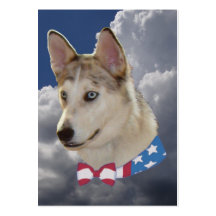 Patriotic Husky Dog Fluffy White Clouds Business Card Template