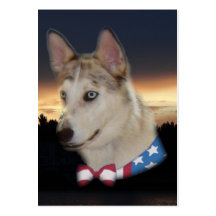 Patriotic Husky Dog Sunset Business Card Template