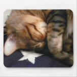 Patriotic Nap Mouse Pad