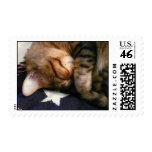Patriotic Nap Postage Stamps