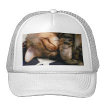 Patriotic Nap hats
