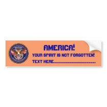 Patriotic or Veteran View Artist Comments Bumper Sticker