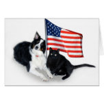 Patriotic Pets Cards