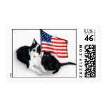 Patriotic Pets Patriotic Pets