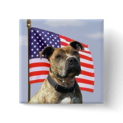 Patriotic pitbull button