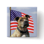 Patriotic pitbull button