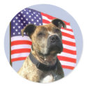 Patriotic pitbull large stickers by ritmoboxer Patriotic pitbull large stickers