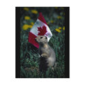 Patriotic postcards by kroekerontherock Patriotic postcards