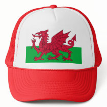 Patriotic Red Dragon Of Wales Sports Team Club Cap Hats