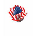 Patriotic Rose t-shirts by artogram Patriotic Rose t-shirts