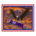 Patriotic USA Eagle Freedom Poster Print