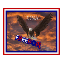 Patriotic USA Eagle Freedom Poster Print