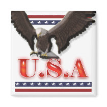 Patriotic USA eagle stars stripes Refrigerator Magnets