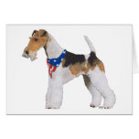 Patriotic Wire Fox Terrier Card