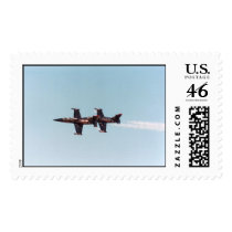 Patriots1 postage by ChubbyCatGalleries Patriots1 postage