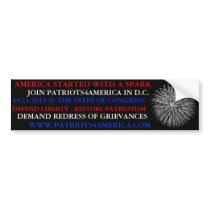 Patriots4America Bumper Sticker 5