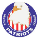 Patriots Stickers (20) sticker