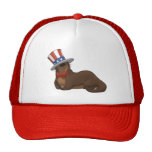 Patriotter Hat