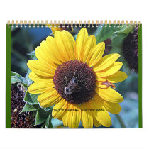 Pats Garden 2009 calendars