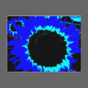 Patsy and Mandy Blue Sunflower Postcard by patsyandmandy Patsy and Mandy Blue Sunflower Postcard
