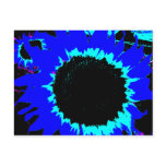 Patsy and Mandy Blue Sunflower Postcard
