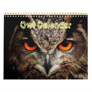 Pattern Animal Office Owl Peace Love Destiny Calendar