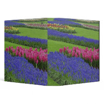 Pattern of Grape Hyacinth, tulips, and 3 Ring Binders