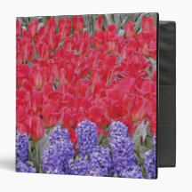Pattern of hyacinth, tulips, and daffodils, 3 ring binders