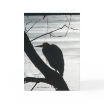 Pattern Recognition cards