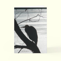 Pattern Recognition cards by MoiraAshleigh Pattern Recognition cards