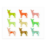patterned-chihuahuas postcards