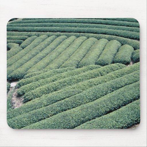 Patterned tea fields, Urashino, Japan Mousepad