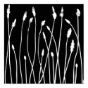 Patterns from nature 49 posters