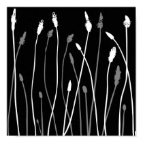 Patterns from nature 50 posters