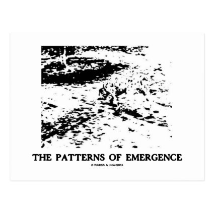 Patterns Of Emergence (Dalmatian Optical Illusion) Post Card