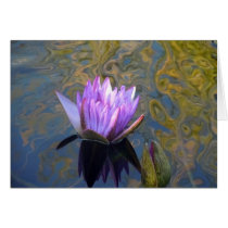Patterns of Nature Card