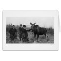 Patting a Moose Photo 1921 cards by lc_alaska Patting a Moose Photo 1921 cards