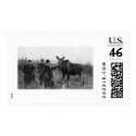 Patting a Moose Photo 1921 postage by lc_alaska Patting a Moose Photo 1921 postage