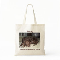 Patty's Barney Shopping Bag - Sunshine Goldens
