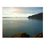 Pauanui Beach Bay New Zealand Postcards