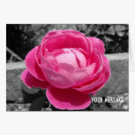 Paul Neyron Pink Heritage Rose cards