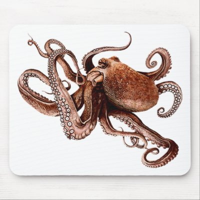 Octopus Mouse