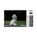 Paula Dempsey postage