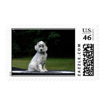 Paula Dempsey postage