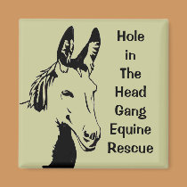 Pauliann Hithger Magnet magnets