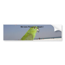 paulie beach, We Love Pensacola Beach ! bumper stickers