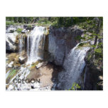 Paulina Creek Falls Postcard